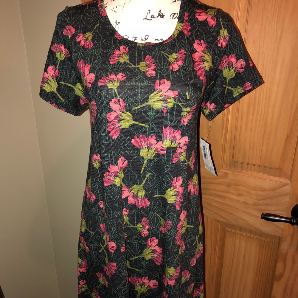 ❌SOLD❌ NWT S LLR Carly Dress w/Pink Floral Print - Picture 4 of 8